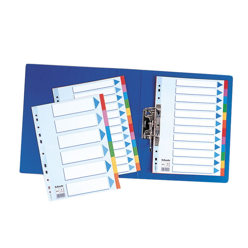 Sadalītājs dokumentiem Esselte, kartona,,A4 formāts, 1-12 krāsains